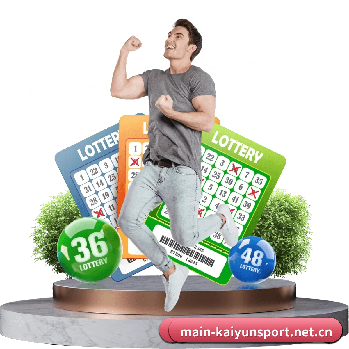 开云体育 APP 界面